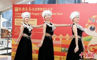 “走进博物馆过大年”活动在悉尼举办